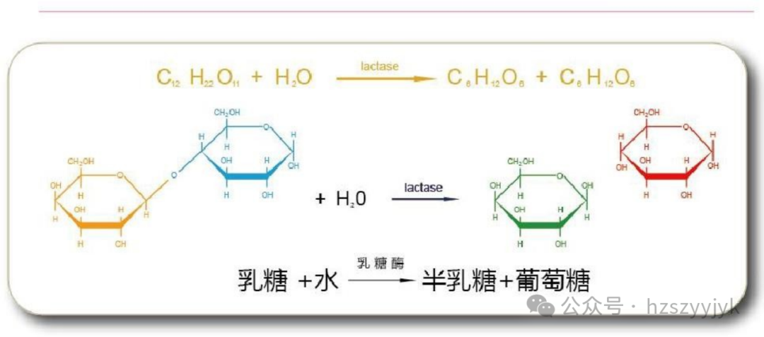 1749450169971732.png d8765797a8a8e3ecbc455437a25a0e2.png