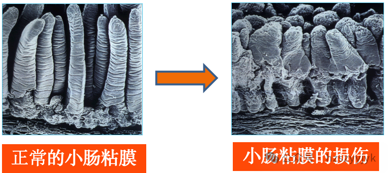 1749450461573498.png b1e74c816688430af5a3fd27b3a66efe.png