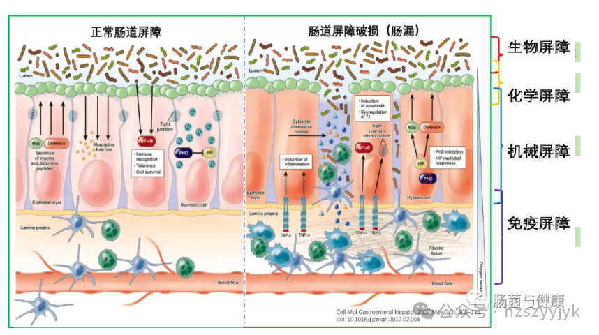 1749450820557583.png 2186d13cfdf32c359d29da86f028ea3.png