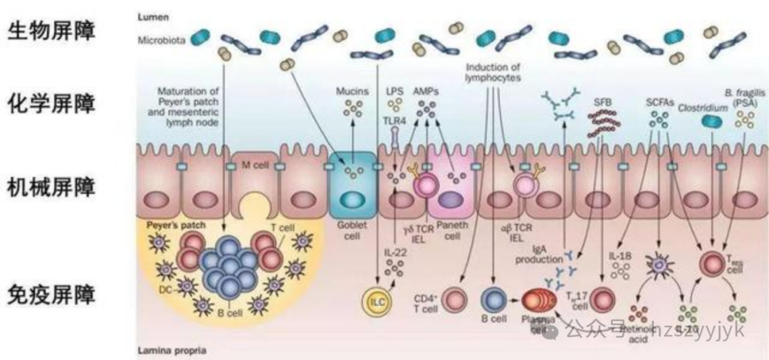 1749451181758821.png b8362cec4372bb6332114b3967926b59.png