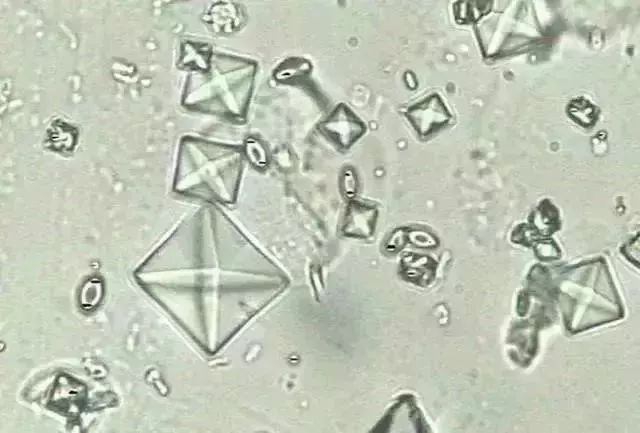 1749452540236769.jpg 8233dc8fdde870cf8a680a501e3656d1.jpg