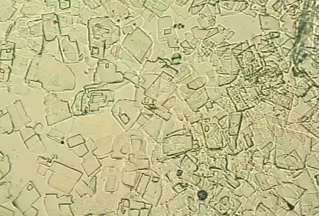 1749452869921106.jpg 11b7d8efa1b4ebaf589301dc001fe375.jpg