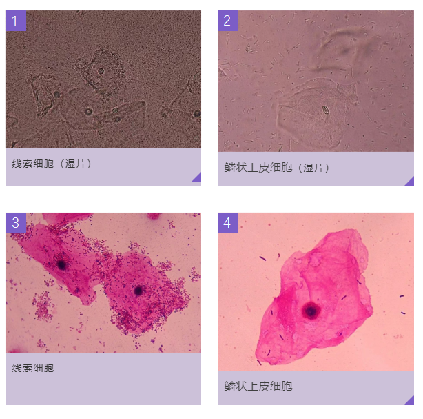 1749517155156887.png 42fc195206aa7dc2e88653308bcab18b.png