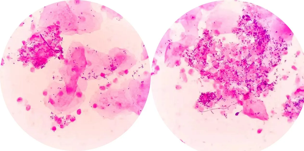 1750819341224885.jpg dc88753c086959ebecd28cedc6af96dd.jpg