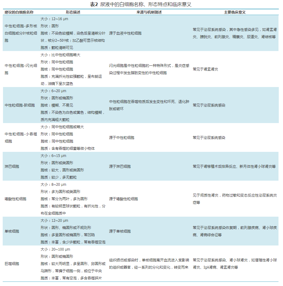 1751267734108293.png 95a8d8dc2167c70862d2c211d4a0b116.png